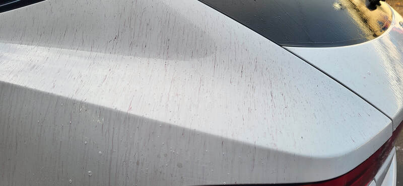 Car Detailing Paisley | Car Paint Protection Paisley