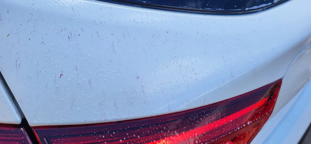 Car Detailing Paisley | Car Paint Protection Paisley | Car Detailing Glasgow | Car Paint Protection Glasgow