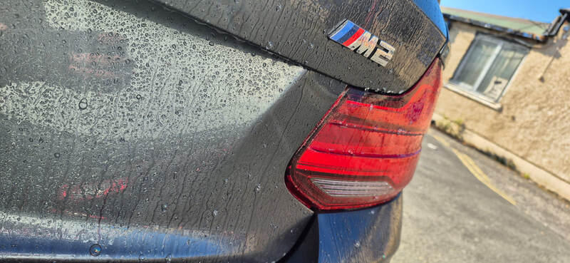 Car Paint Protection