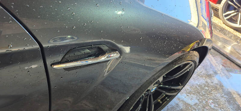 Car Paint Protection