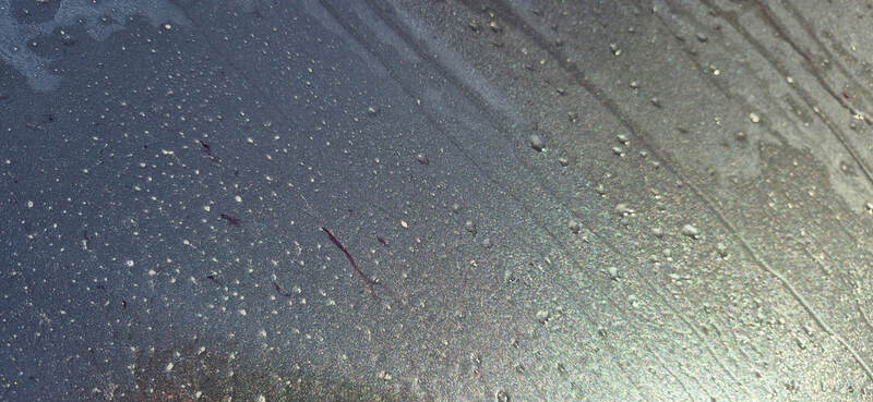 Car Paint Protection