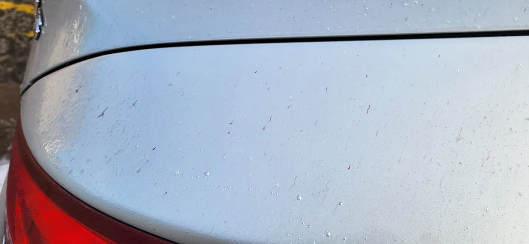 Car Paint Protection Glasgow