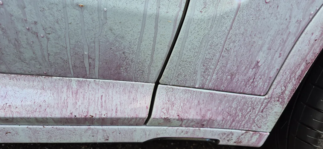 Single Stage Machine Polish Glasgow - Single Stage Machine Polish Paisley