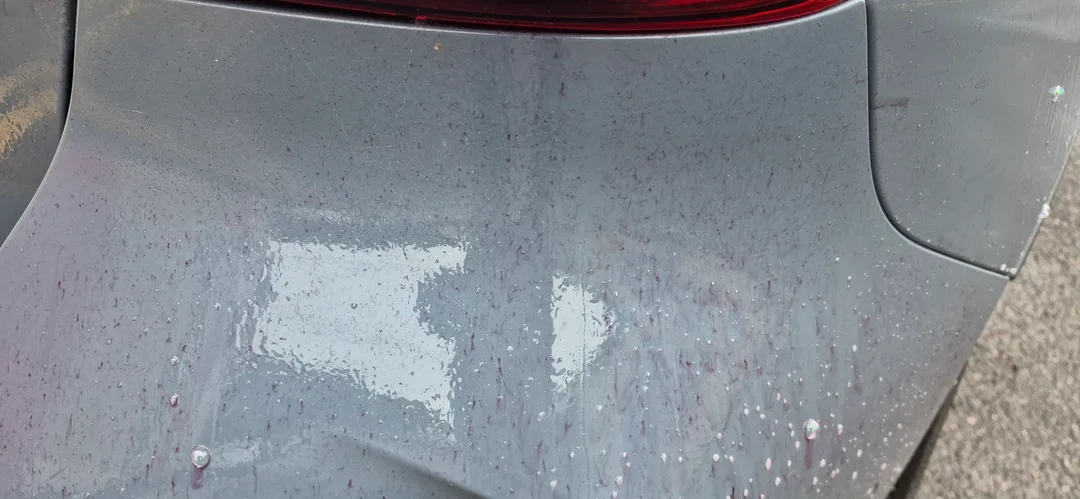 My car detailing Glasgow and ceramic coating Paisley services are designed for clients who demand long lasting protection combined with stunning aesthetics.