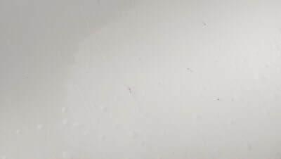 Tesla Paint Protection