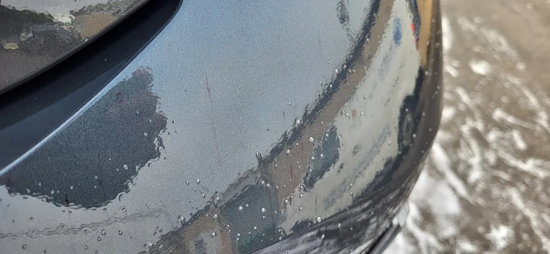 Matte Paint Protection Detail