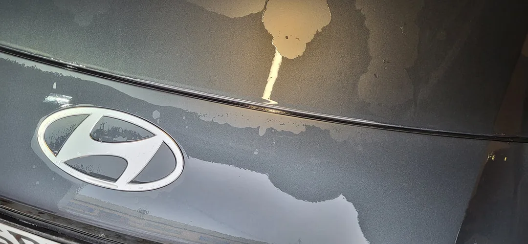 Matte Paint Protection Detail