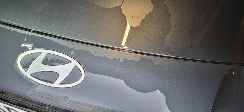 Matte Paint Protection Detail