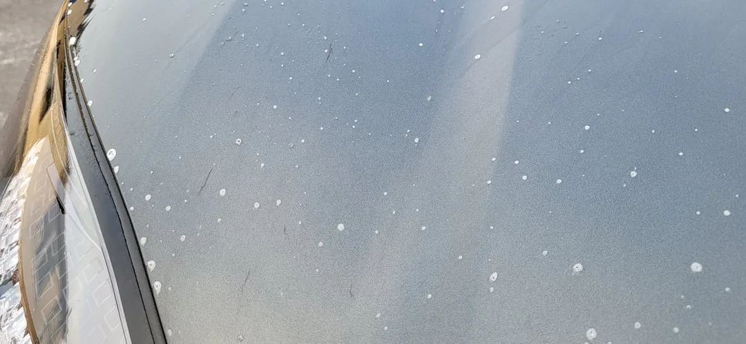 Matte Paint Protection Detail