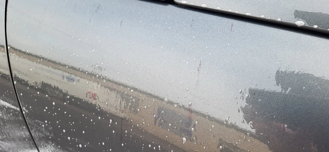 Matte Paint Protection Detail