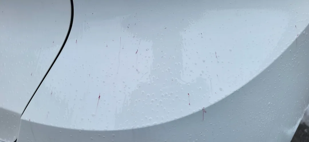 New Car Paint Protection Paisley | New Car Paint Protection Glasgow