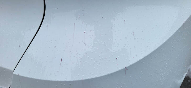 New Car Paint Protection Paisley | New Car Paint Protection Glasgow