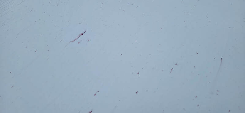 New Car Paint Protection Paisley | New Car Paint Protection Glasgow