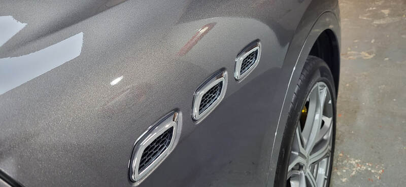 Paint Correction Paisley