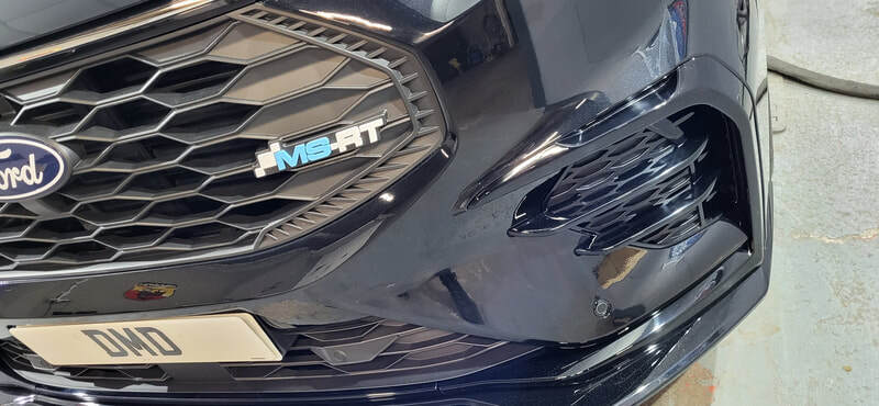 Paint Correction Paisley